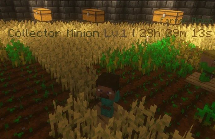 Collector Minion